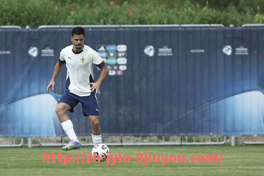 jiuyou九游娱乐-意甲足球队的独特外号及其来源揭秘